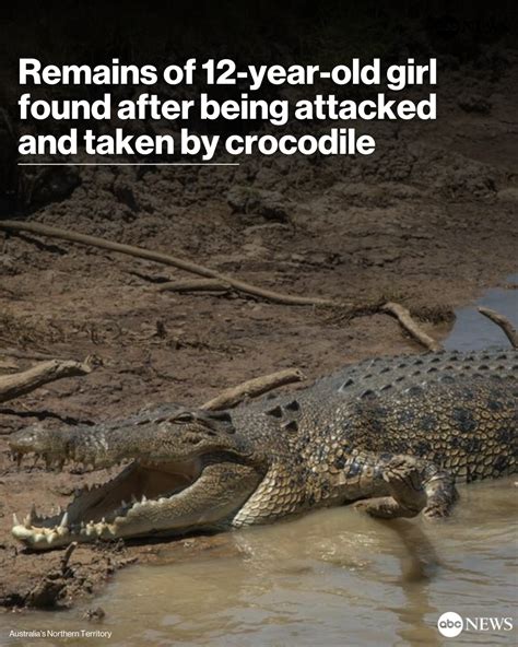 Human remains found of missing girl, 12, taken by crocodile in .